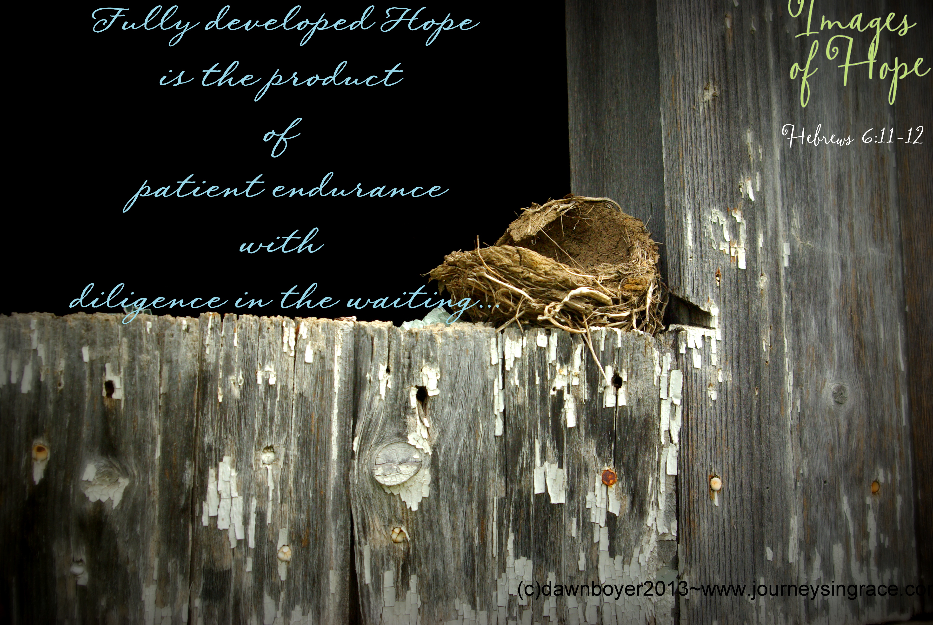 The Images of Hope ~ Patience