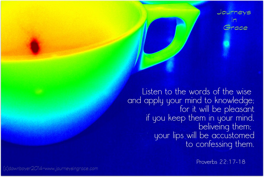 proverbs 22 17 and 18 lips will speak wisdom
