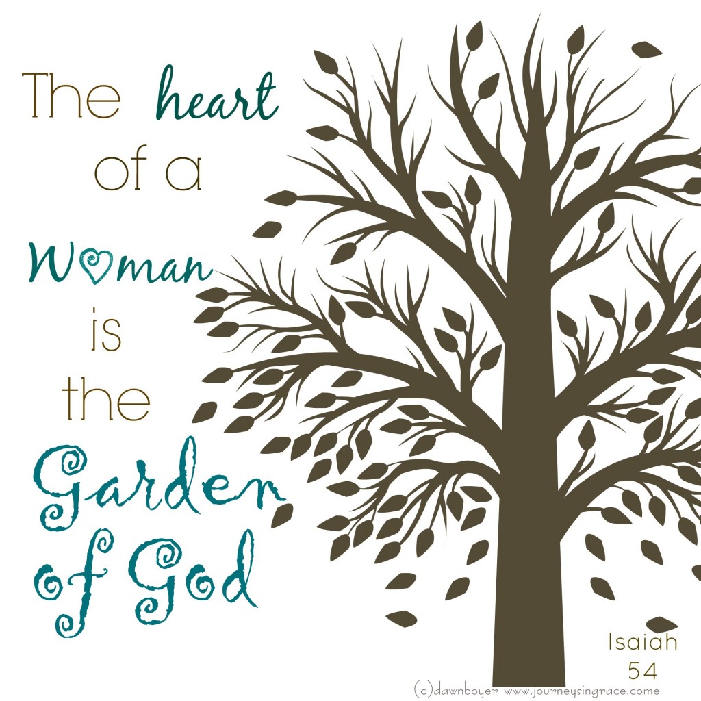 The Heart of A Woman Bible Study