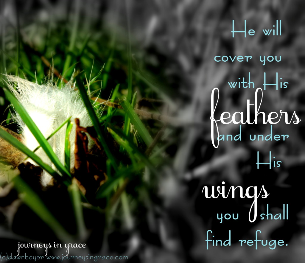 He will cover you with His feathers