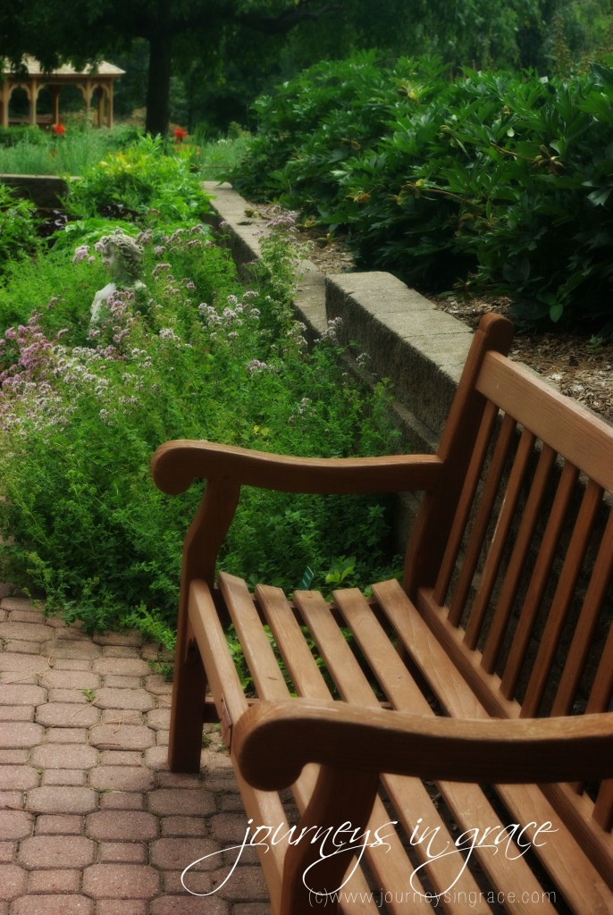 garden bench in herbs