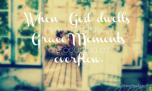 Looking for the Grace Moments- #GraceMoments Link Up