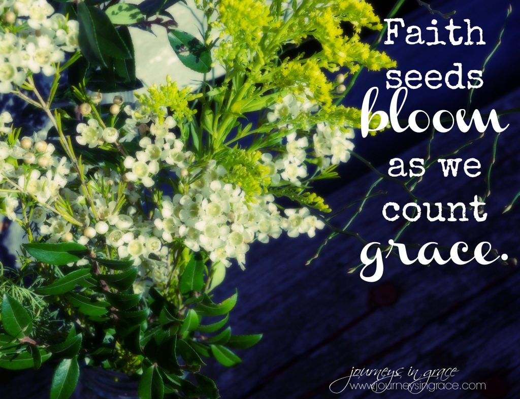 faith seeds bloom
