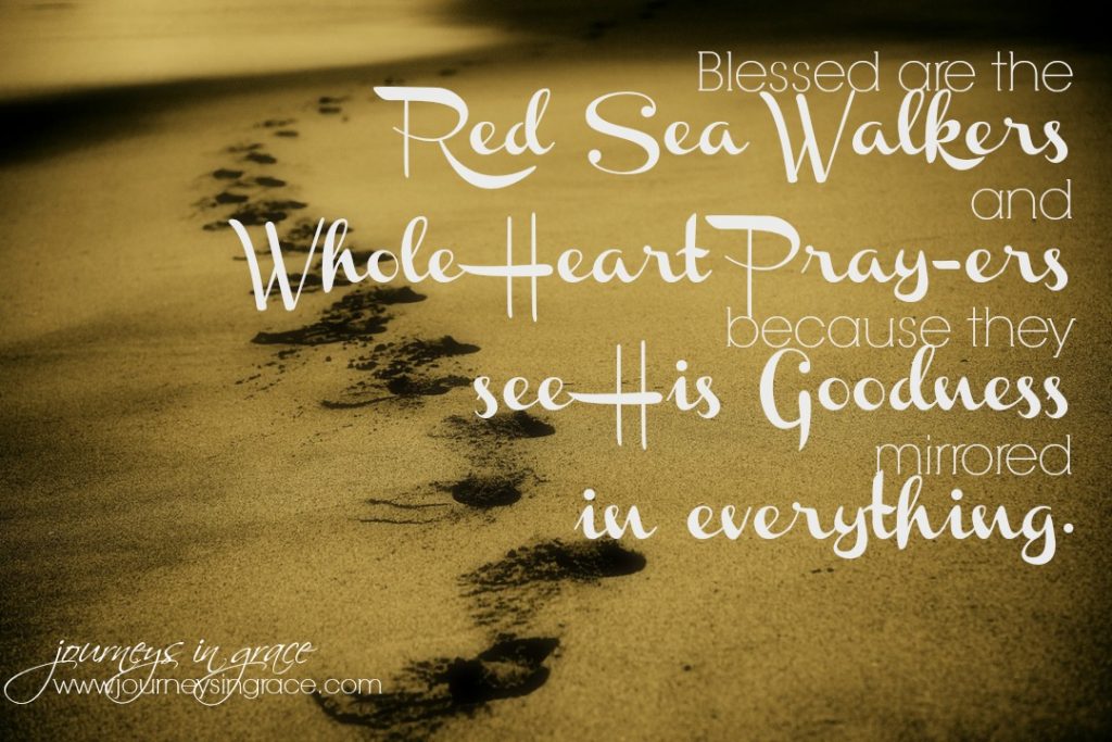 red sea walking psalm 119 wk4