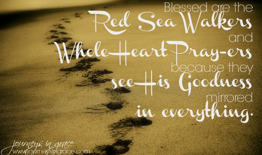 Red Sea Walking – Psalm 119 Bible Study