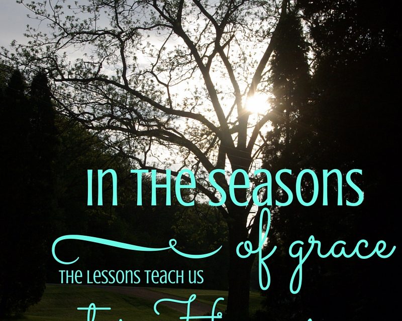 Seasons of Grace – #GraceMoments Link Up