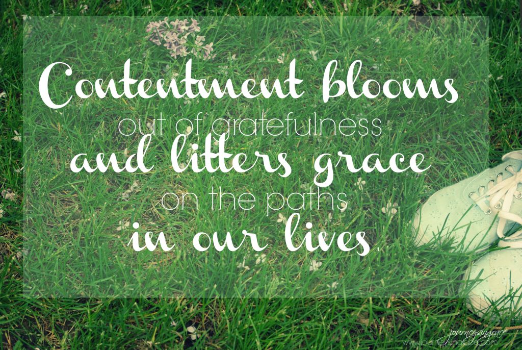 contentment blooms in grace