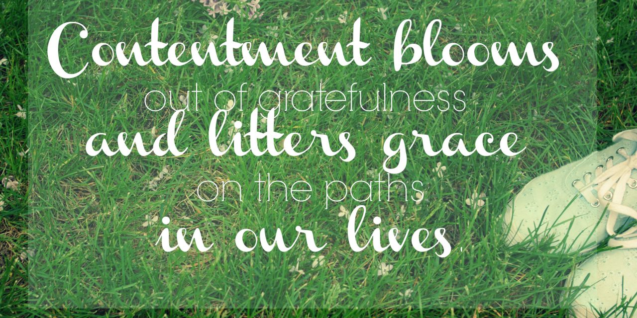 Contentment blooms in paths of grace – #GraceMoments Link Up