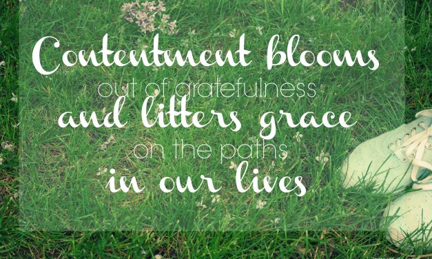 Contentment blooms in paths of grace – #GraceMoments Link Up