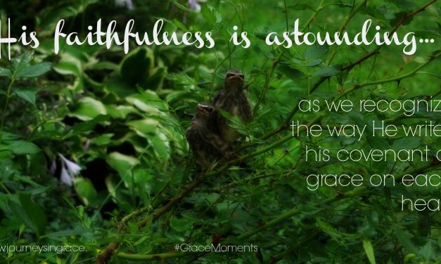 Lessons in Faithfulness – #GraceMoments Link Up