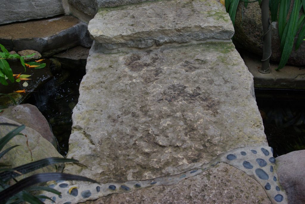 IMGP4223