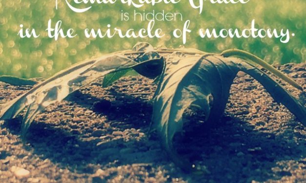 The Remarkable Nature of Grace – #GraceMoments Link up