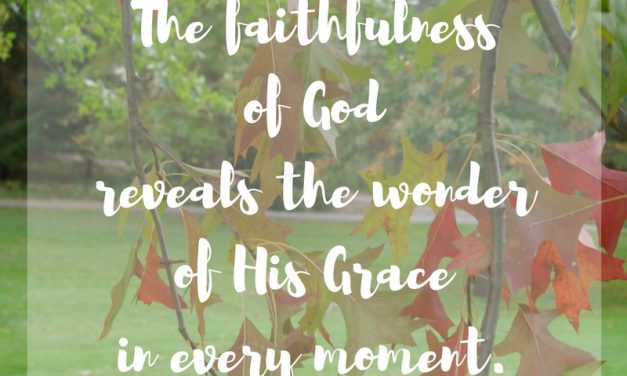 When His faithfulness shows grace…#GraceMoments Link Up