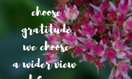 When choosing gratitude is choosing grace…#GraceMoments Link Up