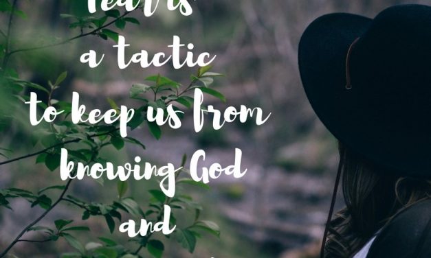 Finding your Creative Purpose…A Guest Post and the #GraceMoments Link Up