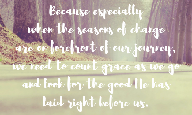 When we walk through seasons of grace…#GraceMoments Link Up.