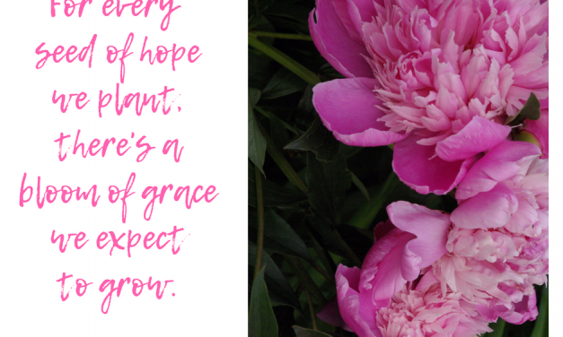 When grace blooms in our lives…#GraceMoments Link Up