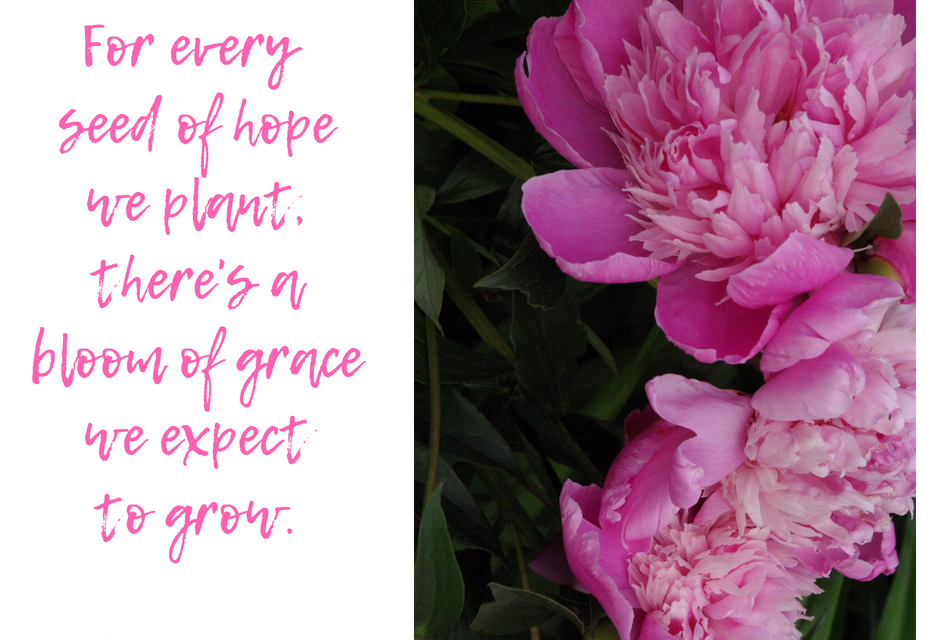 When grace blooms in our lives…#GraceMoments Link Up